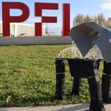 L'approche utilisée pour créer ce robot éléphant est particulièrement adaptée pour reproduire la structure d’organes musculaires complexes comme la trompe. EPFL